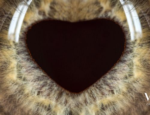 Eye and Heart Health